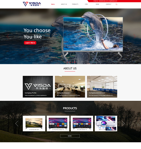 林海国际-电视机类网制作案例